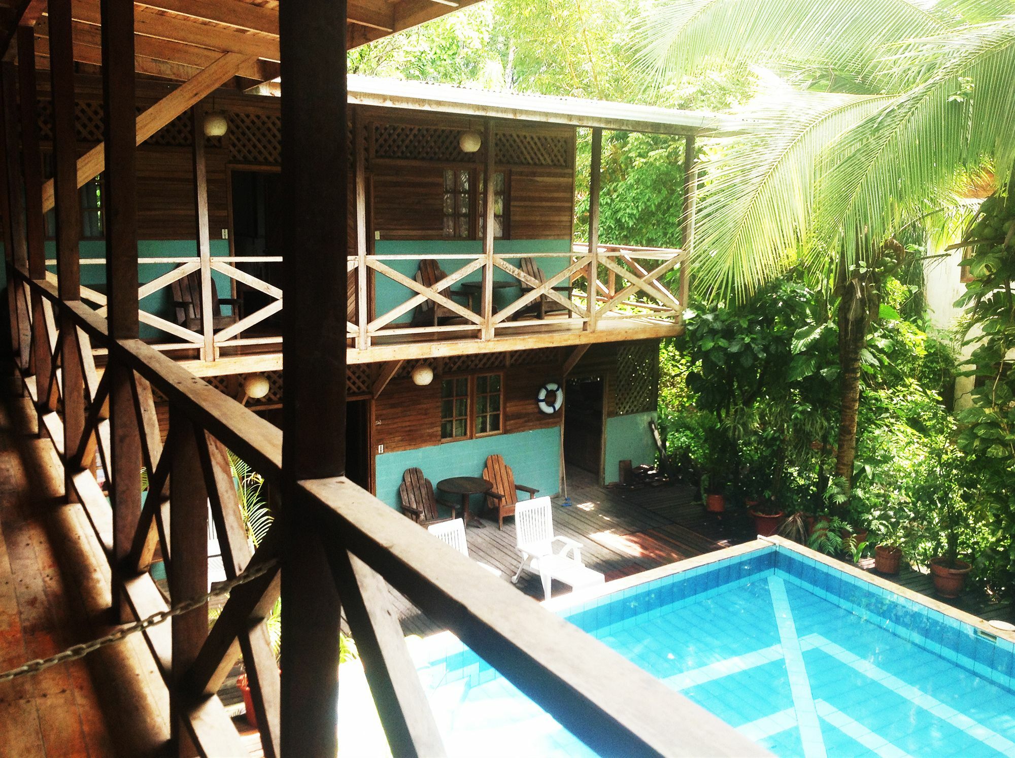 Lizard King Resort Puerto Viejo de Talamanca Bagian luar foto
